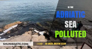 The Adriatic Sea: Pristine or Polluted?