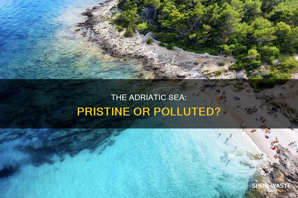 is the adriatic sea polluted