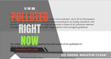 Air Quality Alert: Is the Air Polluted Today?