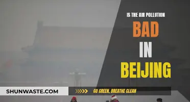 Air Quality in Beijing: Is It Safe to Breathe?