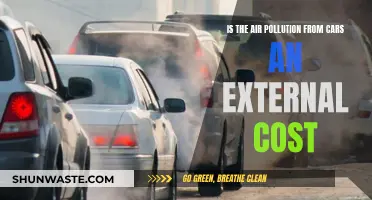 Cars and Air Pollution: Who Pays the Real Cost?
