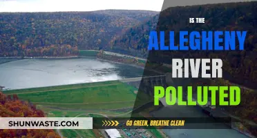 The Allegheny River: A Polluted Paradise?