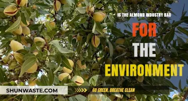 Almond Industry's Environmental Impact: Sustainable or Harmful Practice?
