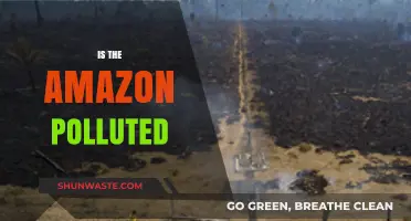 Amazon's Pollution: A Threat to the World's Largest Rainforest
