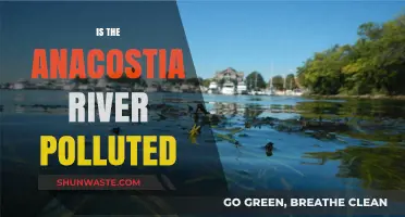 The Anacostia River: A Polluted Waterway?
