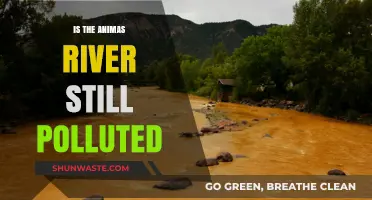 The Animas River: Still Polluted?