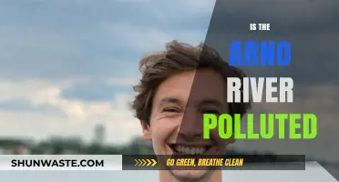 Arno River Pollution: Is It Safe?