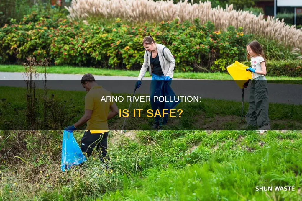 is the arno river polluted