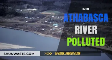 Athabasca River: A Polluted Paradise?