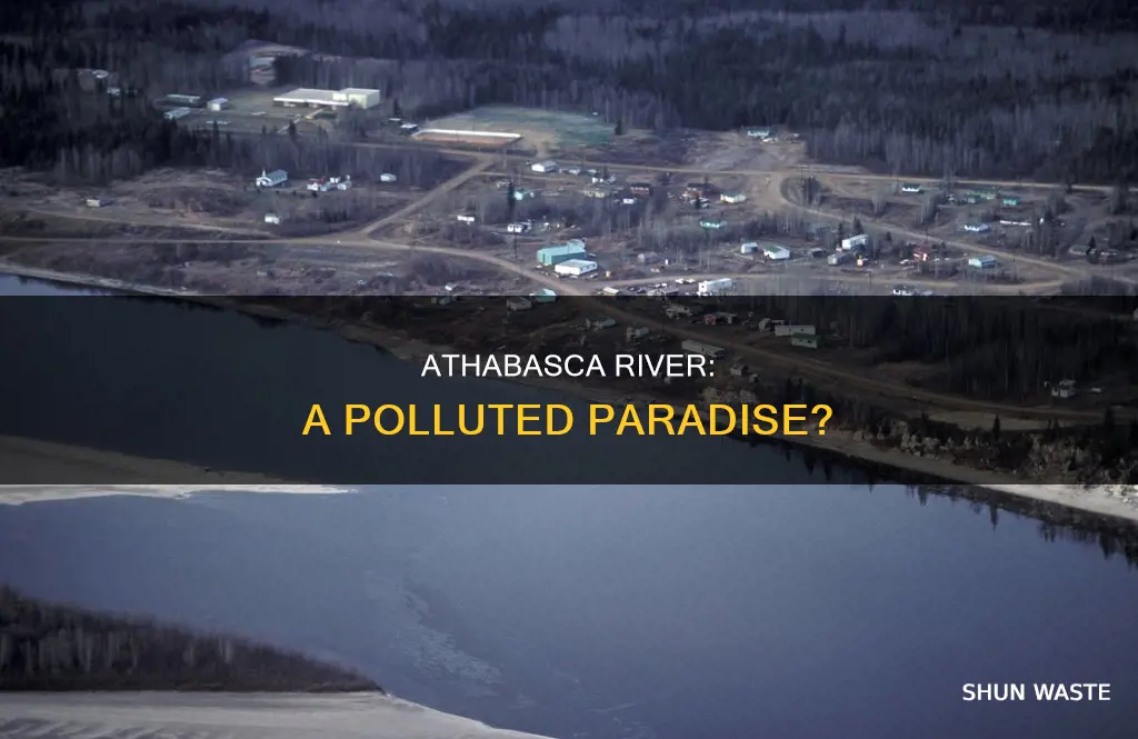 is the athabasca river polluted