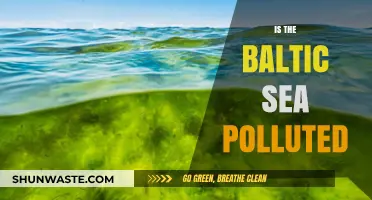 The Baltic Sea Pollution Problem: A Troubled Paradise
