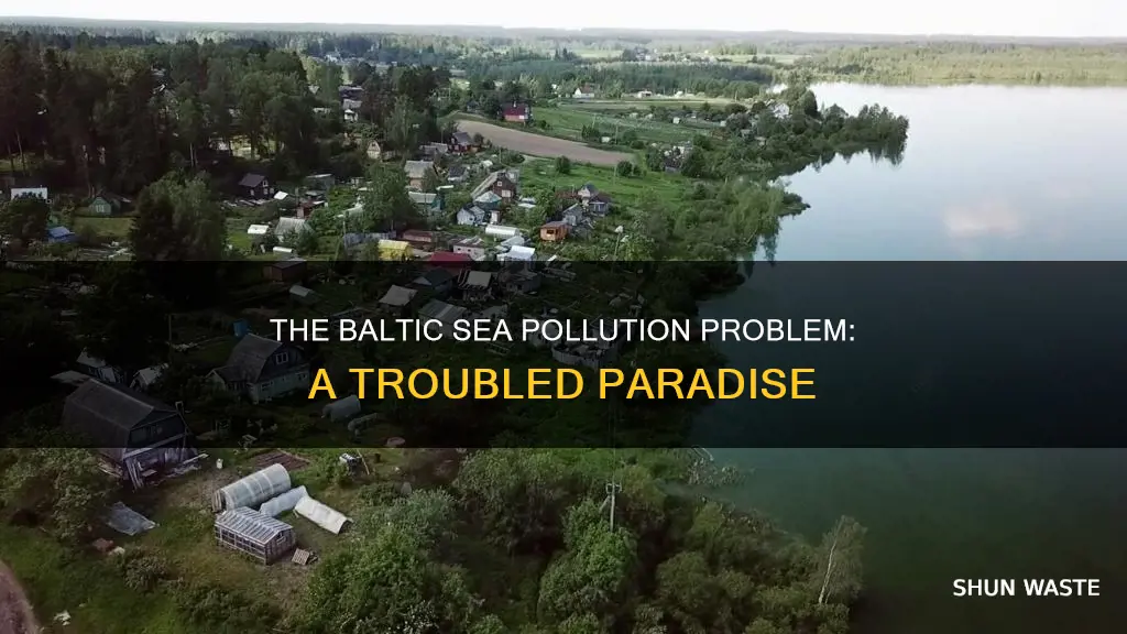 is the baltic sea polluted