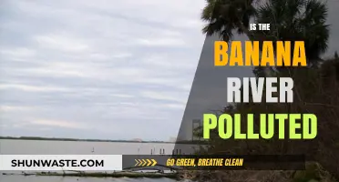 The Banana River's Pollution Problem