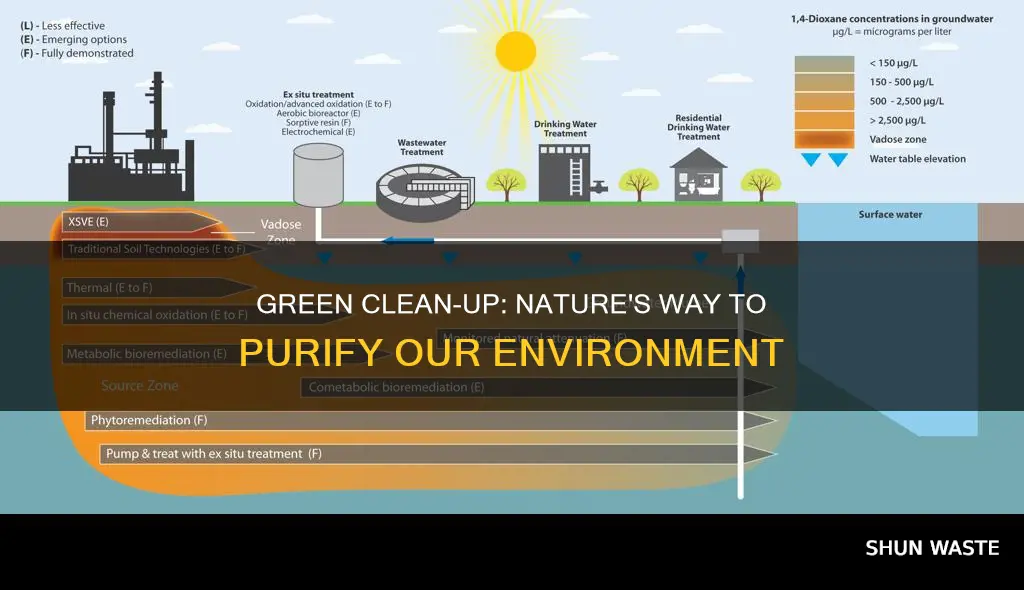 is the biological cleanup of pollutants in an environment