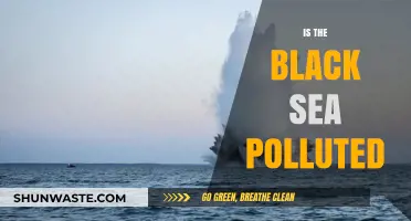 Black Sea Pollution: Is It Getting Worse?