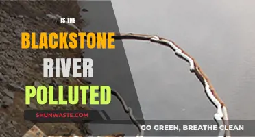 Blackstone River Pollution: What's the Status?