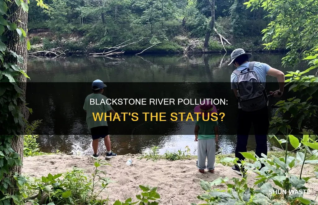 is the blackstone river polluted