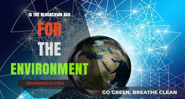 Blockchain's Environmental Impact: Sustainable Future or Ecological Threat?
