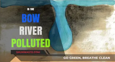 The Bow River: A Polluted Paradise?
