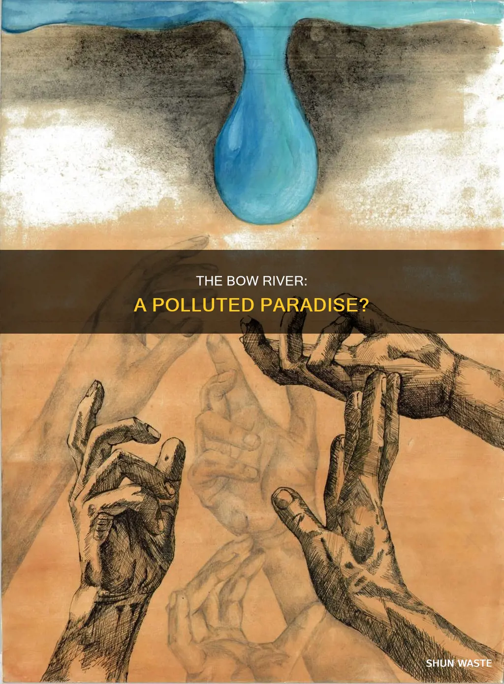 is the bow river polluted
