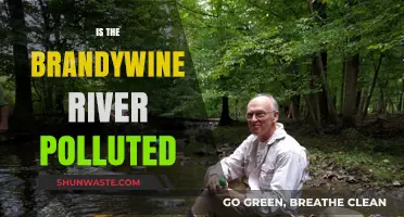 The Brandywine River: A Polluted Paradise?