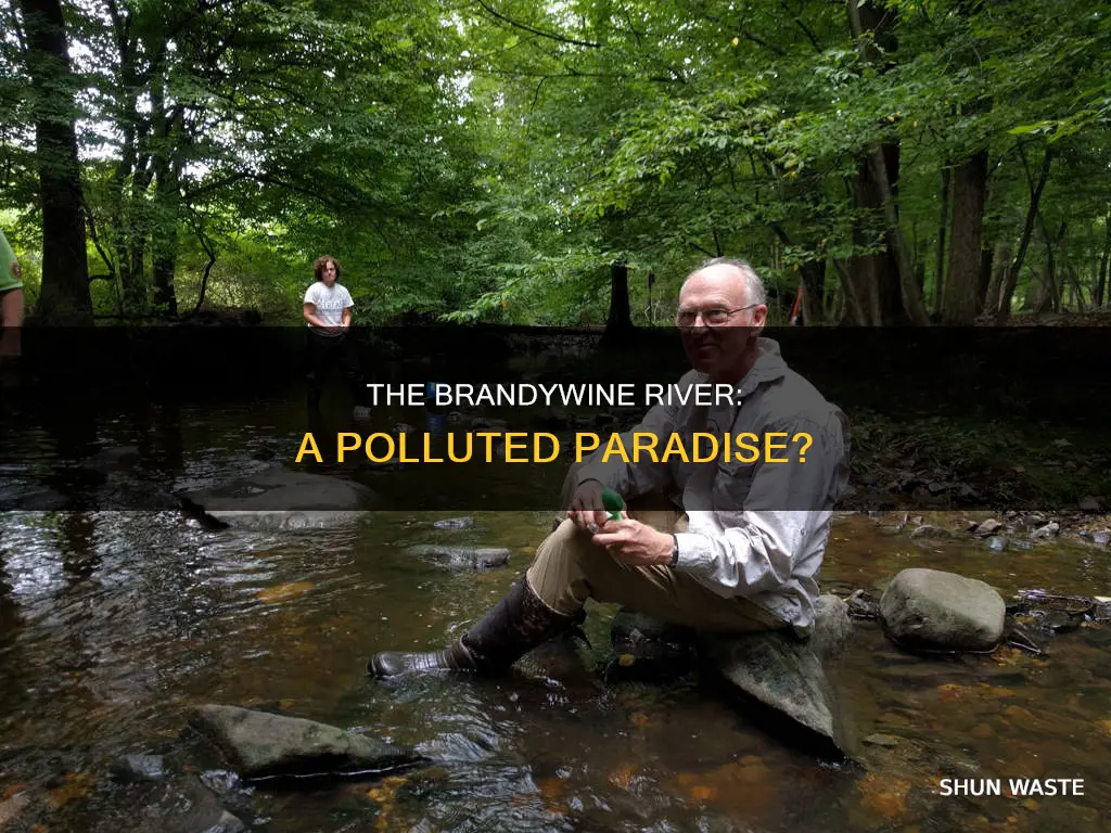 is the brandywine river polluted