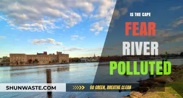 Cape Fear River: A Polluted Paradise?