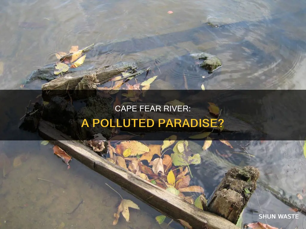 is the cape fear river polluted