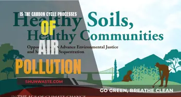 Carbon Cycle's Air Pollution Processes: Nature's Balancing Act