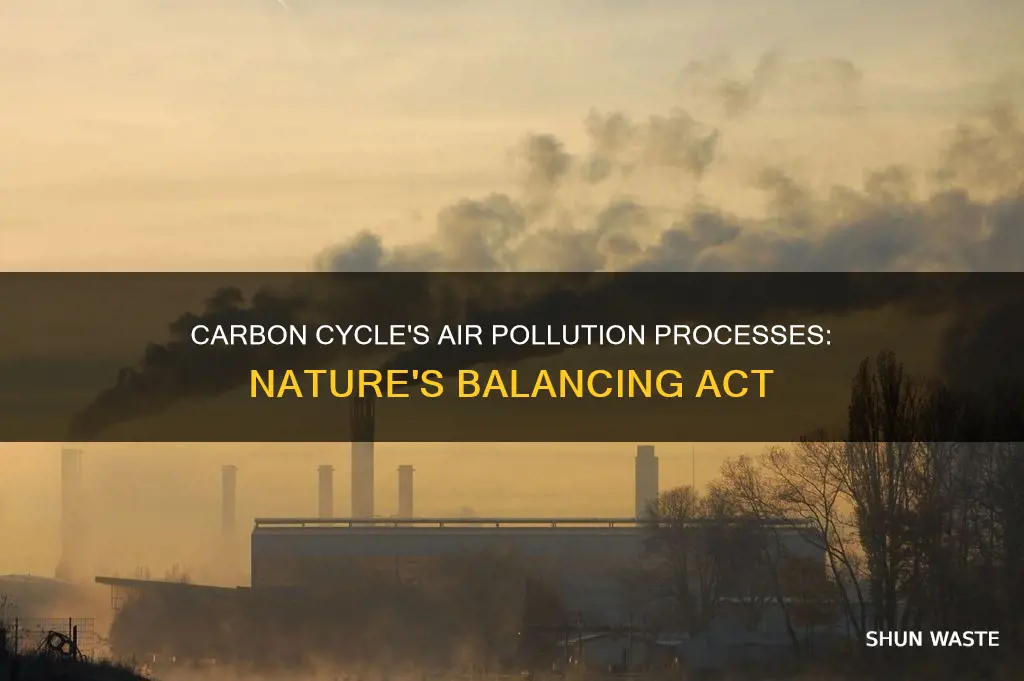is the carbon cycle processes of air pollution