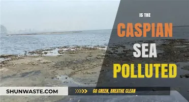 The Caspian Sea: A Polluted Paradise?