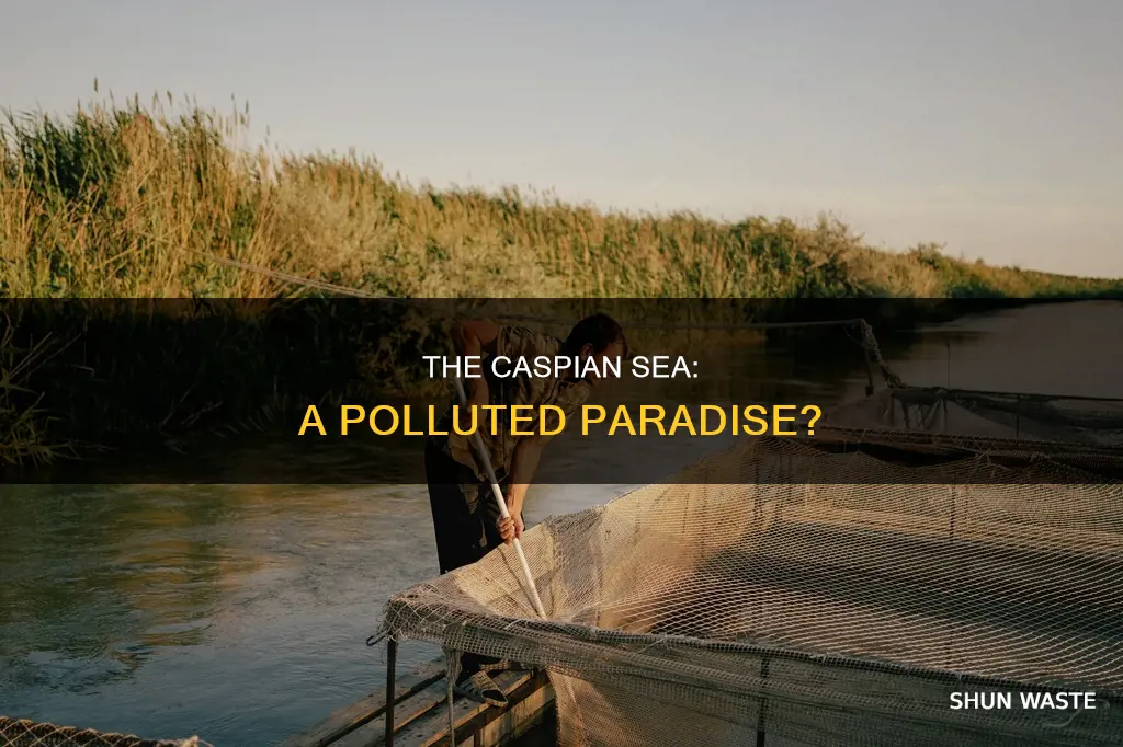 is the caspian sea polluted