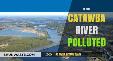 Catawba River: A Polluted Paradise?