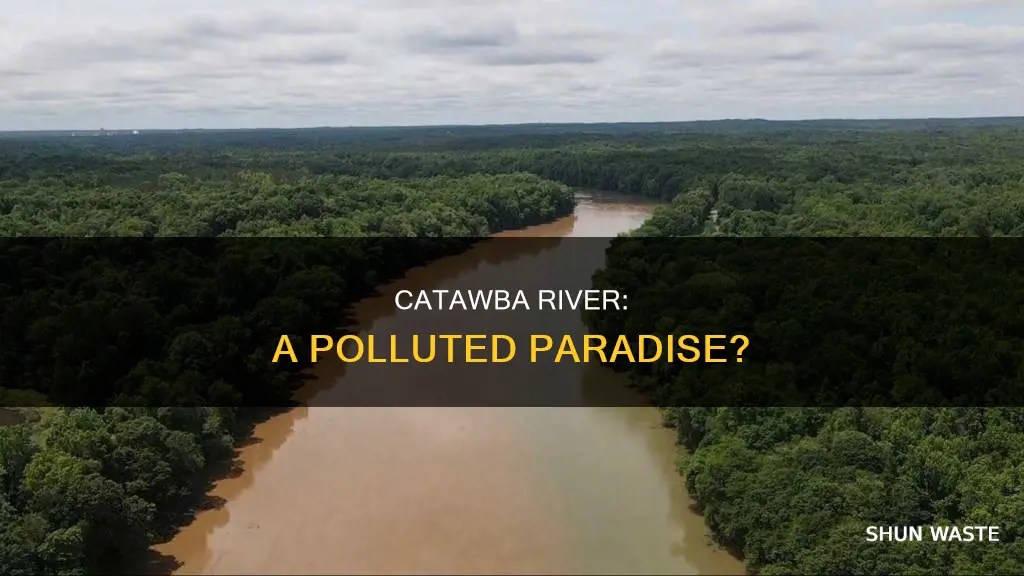 is the catawba river polluted