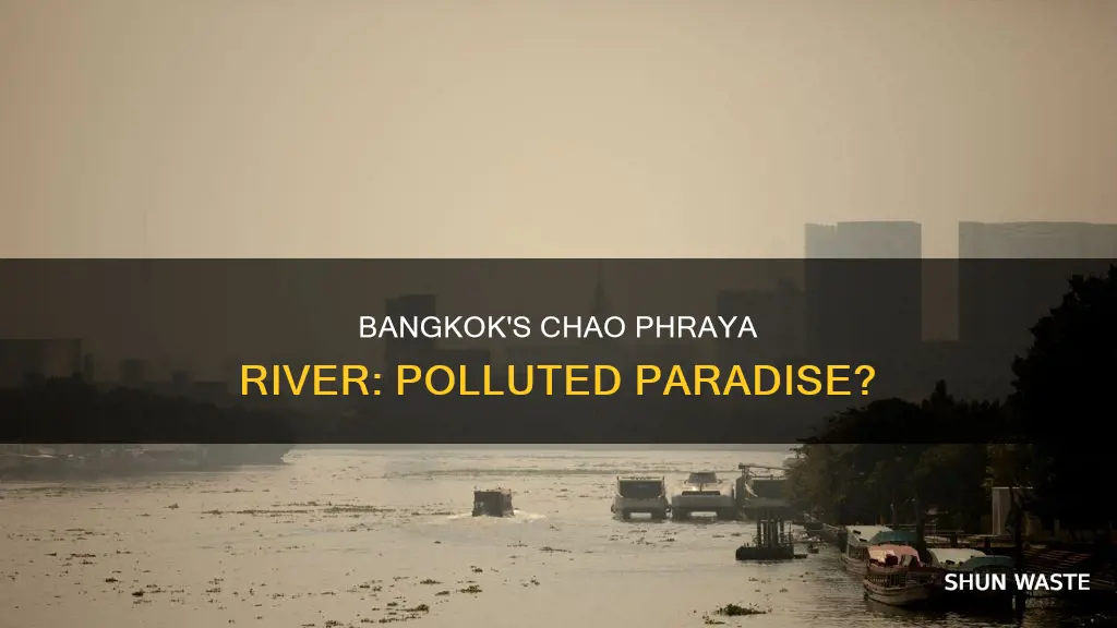is the chao phraya river polluted