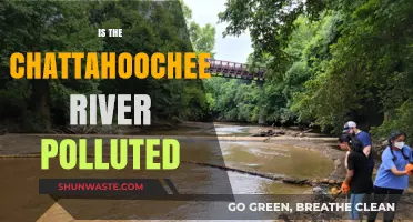 Chattahoochee River: Is It Polluted?