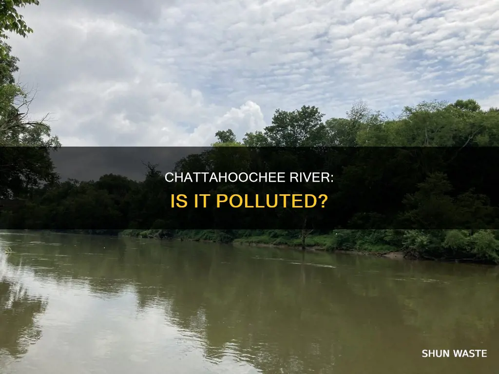 is the chattahoochee river polluted