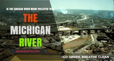 Chicago vs Michigan: Battle of the Polluted Rivers