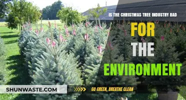 Are Christmas Trees Eco-Friendly? Unwrapping the Environmental Impact