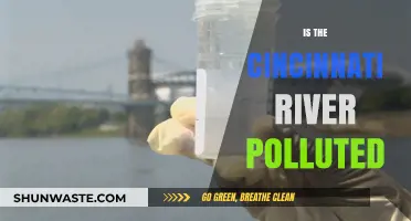 Cincinnati River Pollution: What's the Status?