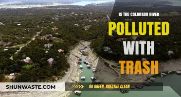 Colorado River: Polluted with Trash?