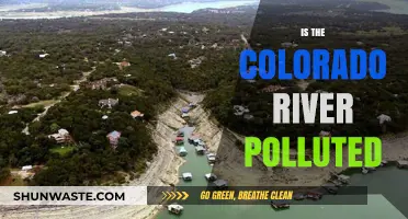 The Colorado River: A Polluted Paradise?