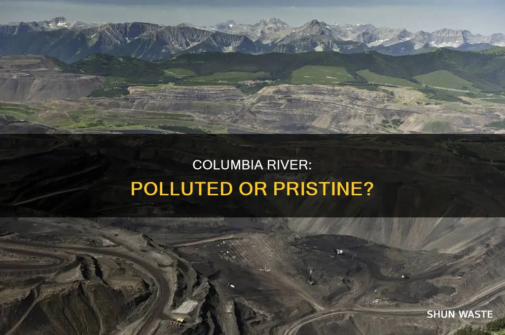 is the columbia river polluted