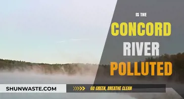 The Concord River: A Polluted Paradise?