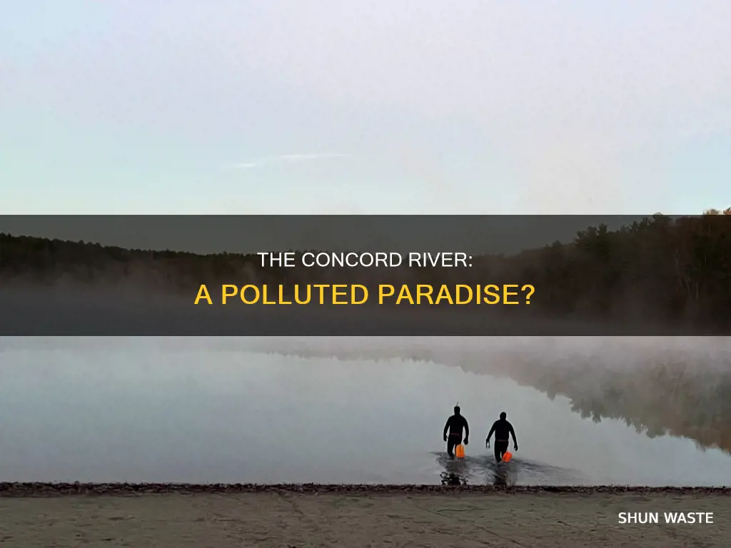 is the concord river polluted