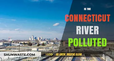 Connecticut River: A Polluted Paradise?