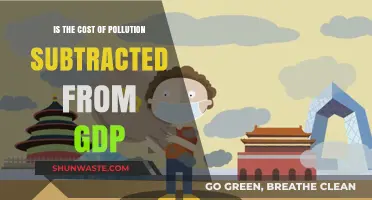 Pollution Costs: GDP's Dark Side