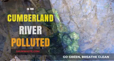 Cumberland River Pollution: What's the Status?
