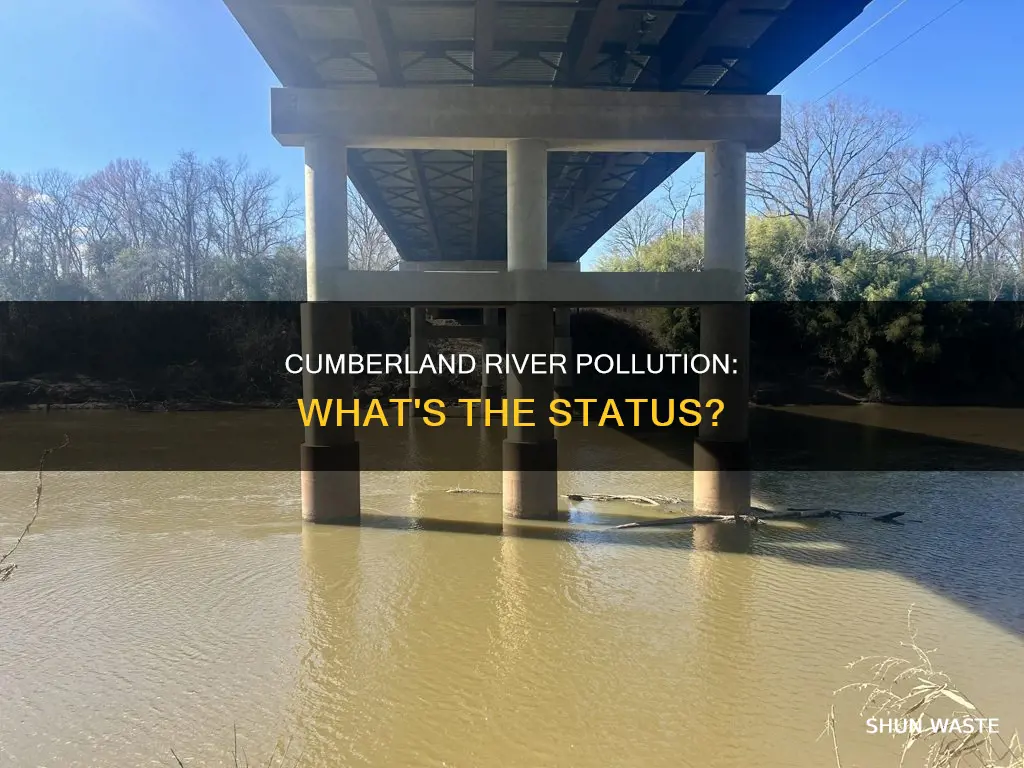 is the cumberland river polluted