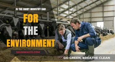 Dairy's Environmental Impact: Uncovering the Industry's Hidden Ecological Footprint